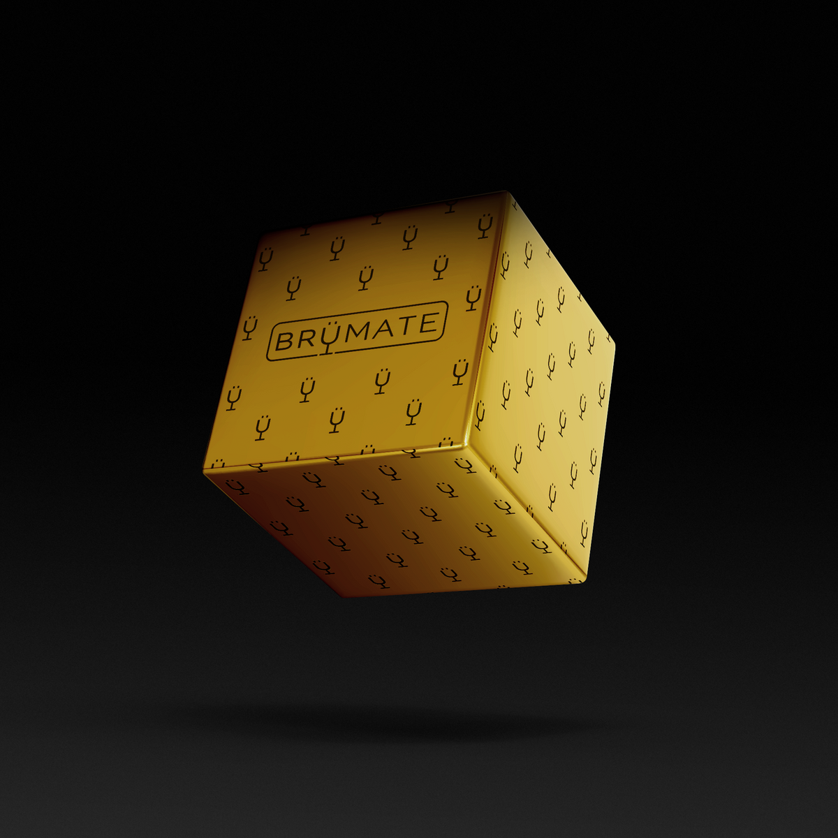 premium-mystery-item-39-70-value-x2 IMG-1548.png